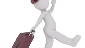 Hostes Olmak İçin Hangi Bölümleri Okumalıyım?