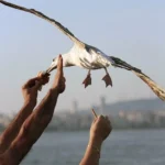 Hostes Olup Kendi İşini Kurmak Mümkün mü?