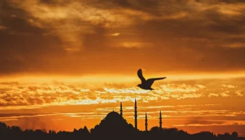 Hosteslerin Çalışırken Enerjik Kalmasını Sağlayan Besinler