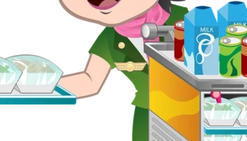 Hosteslerin En Çok Tercih Ettiği Alternatif Meslekler