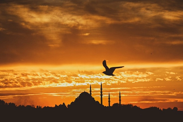 Hosteslik İçin Hangi Yabancı Diller Gerekli? Hosteslik İçin Hangi Yabancı Diller Gerekli?