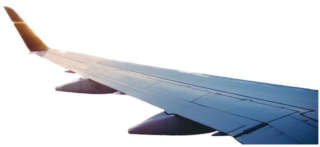 Hosteslikten Pilot Olmak İçin Yapılması Gerekenler Hosteslikten Pilot Olmak İçin Yapılması Gerekenler