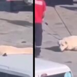 istanbul havalimanindaki goruntulerle ilgili skandal iddia nbSRavsq