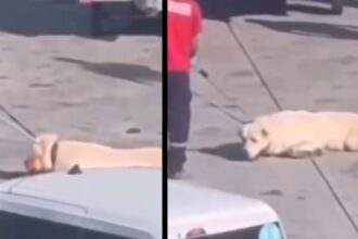 istanbul havalimanindaki goruntulerle ilgili skandal iddia nbSRavsq