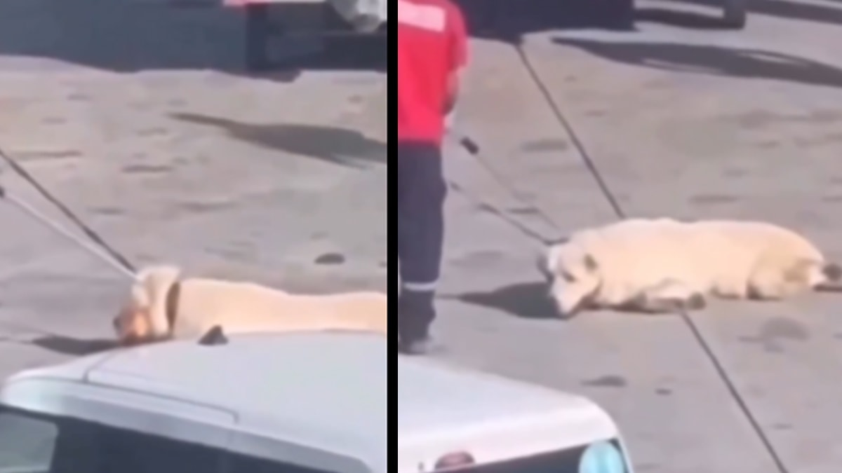 istanbul havalimanindaki goruntulerle ilgili skandal iddia nbSRavsq