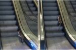 sabiha gokcen havalimaninda yuruyen merdivene ters binen kedinin yardimina vatandas kostu syjLO7Ay