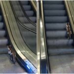 sabiha gokcen havalimaninda yuruyen merdivene ters binen kedinin yardimina vatandas kostu syjLO7Ay
